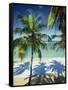 Palm Trees on Tropical Beach, Dominican Republic, West Indies, Caribbean, Central America-Harding Robert-Framed Stretched Canvas