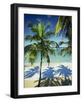 Palm Trees on Tropical Beach, Dominican Republic, West Indies, Caribbean, Central America-Harding Robert-Framed Photographic Print