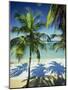 Palm Trees on Tropical Beach, Dominican Republic, West Indies, Caribbean, Central America-Harding Robert-Mounted Photographic Print