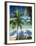 Palm Trees on Tropical Beach, Dominican Republic, West Indies, Caribbean, Central America-Harding Robert-Framed Photographic Print