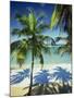 Palm Trees on Tropical Beach, Dominican Republic, West Indies, Caribbean, Central America-Harding Robert-Mounted Photographic Print