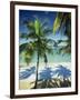 Palm Trees on Tropical Beach, Dominican Republic, West Indies, Caribbean, Central America-Harding Robert-Framed Photographic Print