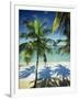 Palm Trees on Tropical Beach, Dominican Republic, West Indies, Caribbean, Central America-Harding Robert-Framed Photographic Print