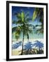 Palm Trees on Tropical Beach, Dominican Republic, West Indies, Caribbean, Central America-Harding Robert-Framed Photographic Print