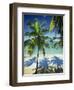 Palm Trees on Tropical Beach, Dominican Republic, West Indies, Caribbean, Central America-Harding Robert-Framed Photographic Print