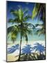 Palm Trees on Tropical Beach, Dominican Republic, West Indies, Caribbean, Central America-Harding Robert-Mounted Photographic Print