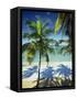 Palm Trees on Tropical Beach, Dominican Republic, West Indies, Caribbean, Central America-Harding Robert-Framed Stretched Canvas