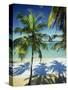 Palm Trees on Tropical Beach, Dominican Republic, West Indies, Caribbean, Central America-Harding Robert-Stretched Canvas
