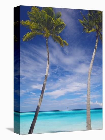 Palm Trees on Tropical Beach, Maldives, Indian Ocean, Asia-Sakis Papadopoulos-Stretched Canvas