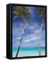 Palm Trees on Tropical Beach, Maldives, Indian Ocean, Asia-Sakis Papadopoulos-Framed Stretched Canvas