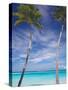 Palm Trees on Tropical Beach, Maldives, Indian Ocean, Asia-Sakis Papadopoulos-Stretched Canvas