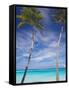 Palm Trees on Tropical Beach, Maldives, Indian Ocean, Asia-Sakis Papadopoulos-Framed Stretched Canvas