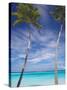 Palm Trees on Tropical Beach, Maldives, Indian Ocean, Asia-Sakis Papadopoulos-Stretched Canvas