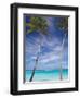 Palm Trees on Tropical Beach, Maldives, Indian Ocean, Asia-Sakis Papadopoulos-Framed Photographic Print