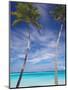 Palm Trees on Tropical Beach, Maldives, Indian Ocean, Asia-Sakis Papadopoulos-Mounted Photographic Print