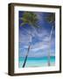 Palm Trees on Tropical Beach, Maldives, Indian Ocean, Asia-Sakis Papadopoulos-Framed Photographic Print