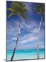Palm Trees on Tropical Beach, Maldives, Indian Ocean, Asia-Sakis Papadopoulos-Mounted Photographic Print