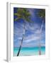 Palm Trees on Tropical Beach, Maldives, Indian Ocean, Asia-Sakis Papadopoulos-Framed Photographic Print