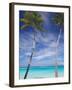 Palm Trees on Tropical Beach, Maldives, Indian Ocean, Asia-Sakis Papadopoulos-Framed Photographic Print