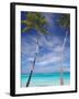 Palm Trees on Tropical Beach, Maldives, Indian Ocean, Asia-Sakis Papadopoulos-Framed Photographic Print