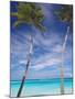 Palm Trees on Tropical Beach, Maldives, Indian Ocean, Asia-Sakis Papadopoulos-Mounted Photographic Print