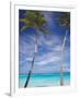 Palm Trees on Tropical Beach, Maldives, Indian Ocean, Asia-Sakis Papadopoulos-Framed Photographic Print