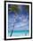 Palm Trees on Tropical Beach, Maldives, Indian Ocean, Asia-Sakis Papadopoulos-Framed Photographic Print