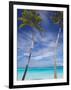 Palm Trees on Tropical Beach, Maldives, Indian Ocean, Asia-Sakis Papadopoulos-Framed Photographic Print