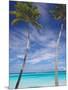 Palm Trees on Tropical Beach, Maldives, Indian Ocean, Asia-Sakis Papadopoulos-Mounted Photographic Print