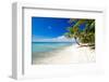 Palm Trees on Tropical Beach-null-Framed Art Print