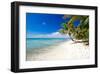 Palm Trees on Tropical Beach-null-Framed Art Print