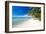 Palm Trees on Tropical Beach-null-Framed Art Print