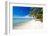 Palm Trees on Tropical Beach-null-Framed Art Print