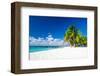 Palm Trees On Tropical Beach-null-Framed Art Print