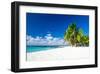 Palm Trees On Tropical Beach-null-Framed Art Print