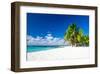 Palm Trees On Tropical Beach-null-Framed Art Print