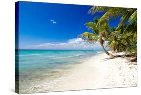Palm Trees on Tropical Beach-null-Stretched Canvas
