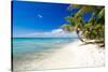 Palm Trees on Tropical Beach-null-Stretched Canvas