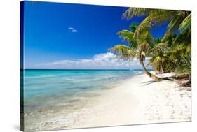 Palm Trees on Tropical Beach-null-Stretched Canvas