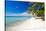 Palm Trees on Tropical Beach-null-Stretched Canvas