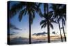 Palm Trees on Waikiki Beach, Oahu, Hawaii, United States of America, Pacific-Michael-Stretched Canvas