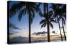 Palm Trees on Waikiki Beach, Oahu, Hawaii, United States of America, Pacific-Michael-Stretched Canvas
