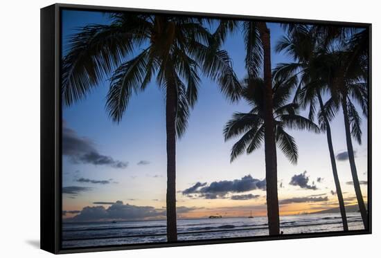 Palm Trees on Waikiki Beach, Oahu, Hawaii, United States of America, Pacific-Michael-Framed Stretched Canvas
