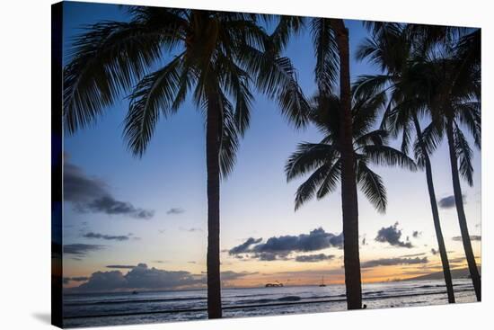 Palm Trees on Waikiki Beach, Oahu, Hawaii, United States of America, Pacific-Michael-Stretched Canvas