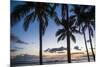 Palm Trees on Waikiki Beach, Oahu, Hawaii, United States of America, Pacific-Michael-Mounted Photographic Print