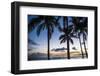 Palm Trees on Waikiki Beach, Oahu, Hawaii, United States of America, Pacific-Michael-Framed Photographic Print