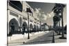 Palm trees outside buildings, Tala Harbor Development Marina, Aqaba, Jordan-null-Stretched Canvas