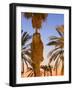 Palm Trees Outside the Old City Walls at Sunset, Jerusalem, Israel, Middle East-Gavin Hellier-Framed Photographic Print