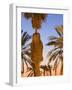 Palm Trees Outside the Old City Walls at Sunset, Jerusalem, Israel, Middle East-Gavin Hellier-Framed Photographic Print