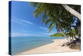 Palm Trees Overhanging Bangrak Beach, Koh Samui, Thailand, Southeast Asia, Asia-Lee Frost-Stretched Canvas